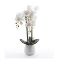 Forever Leaf Faux White Orchid Flower in White Pot FL05108